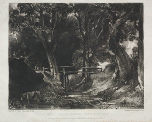 Forskellige emner af landskab, karakteristisk for engelsk landskab fra billeder malet af John Constable, R.A.: Dell in the Woods of Helmingham Park, Suffolk af David Lucas