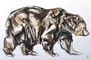 Brown Bear walking, 2012 (Pastel/Conte på papir)