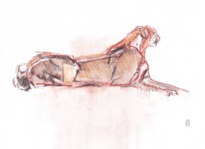 Cheetah alarm, 2019 (farveblyant/akvarel på papir) af David Mayer