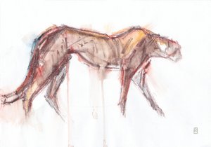 Gepardjagt, 2019 (farveblyant/akvarel på papir) af David Mayer