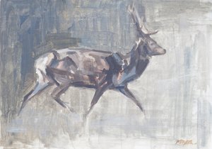 Red Deer Stag Running, 2023 (olie på lærred) af David Mayer