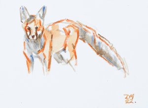 Red Fox, 2022 (olie på lærred) af David Mayer