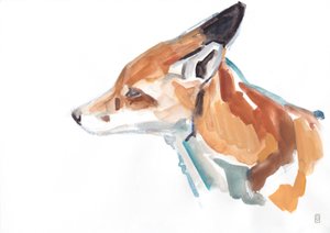 Portræt af rød ræv, 2021 (gouache / farveblyant)