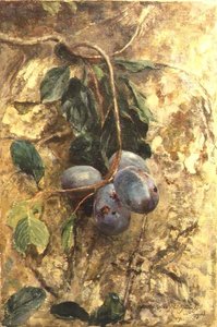 Blommer