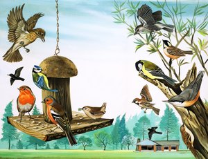 Alle slags fugle omkring havebordet, illustration fra 