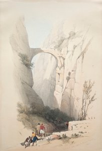 Triumfbue krydser kløften, der fører til Petra af David Roberts