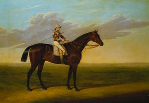 Richard Watts Bay Racehorse "Rockingham" med Sam Darling oppe på en væddeløbsbane
