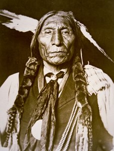Wolf Robe (f. 1841) 1909 (s/h foto) af DeLancey W. Gill