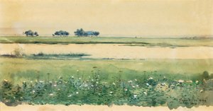 Landskab med moser, 1898.
