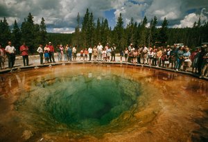 Parkens besøgende samles omkring en blågrøn, blomsterformet termisk pool. Yellowstone Nati...