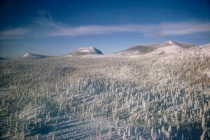 Sibirien i vinterlandskab over sump og skove dækket af sne

