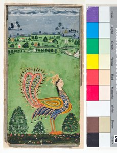 Mytisk påfugl med kvindehoved, ca. 1750 (ugennemsigtig m/c og guld på papir)