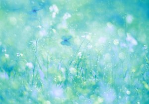 Aqua Butterfly Dream af Delphine Devos