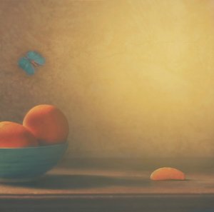 Citrusskål og sommerfugl af Delphine Devos