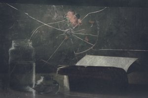 Knust glas og en gammel bog af Delphine Devos