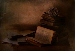 Bøger i »Dark Academia«-genren af Delphine Devos