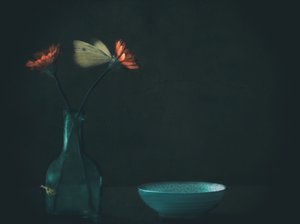 Mørk blomster-sommerfugl af Delphine Devos