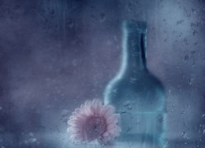 Drømmende regnfuld gerbera af Delphine Devos