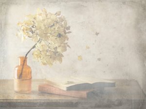 Blegnet efterårsstilleben af Delphine Devos
