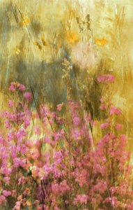 Sommerfugle i Golden Meadow af Delphine Devos