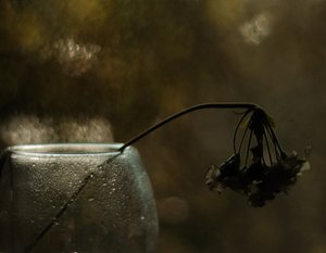 Melankolsk blomstring af Delphine Devos