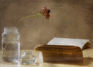 Melankolsk blomst og bog af Delphine Devos