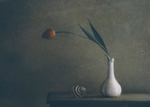 Stilleben med en stemningsfuld tulipan af Delphine Devos
