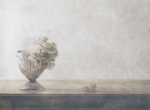 Stilleben med dæmpede tørrede blomster af Delphine Devos