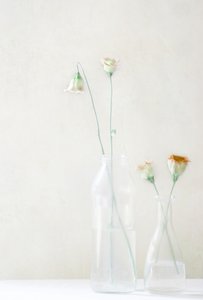 Blege blomster i glas af Delphine Devos
