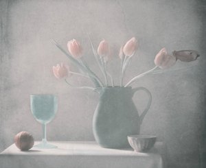 Pasteltulipaner – Stilleben af Delphine Devos