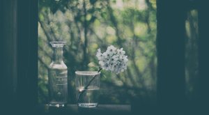 Fredfyldte vinduesblomster af Delphine Devos
