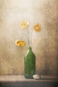 Stille gule blomster af Delphine Devos