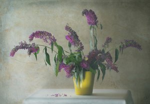 Rustikt blomsterstilleben af Delphine Devos