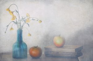 Fredfyldte blomster, æbler, bøger af Delphine Devos