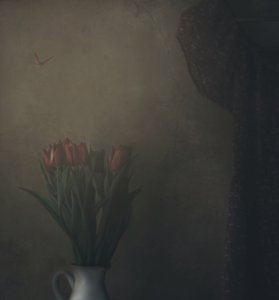 Tulipaner i skygge og en sommerfugl af Delphine Devos