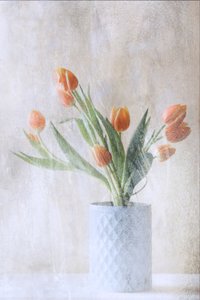  af Delphine Devos