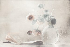 Bløde roser – åben bog af Delphine Devos