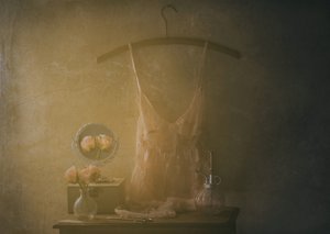 Vintage boudoir-undertøj af Delphine Devos