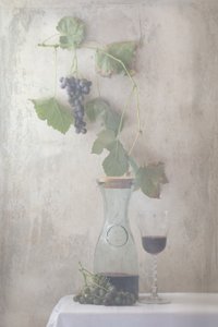 Stilleben med vintage-druer og vin af Delphine Devos