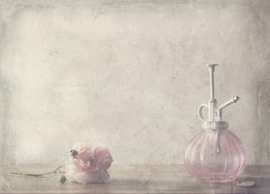 Vintage Pink Rose-parfume af Delphine Devos