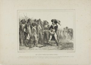Hvad har du at klage over af Denis Auguste Marie Raffet