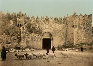 Damaskus-porten, Jerusalem, Det Hellige Land, ca. 1890-c. 1900 (fotokromtryk)