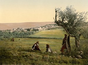 Oversigt, Kana i Galilæa, Det Hellige Land, ca. 1890-1900 (fotokromtryk) af Detroit Publishing Co.
