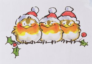 Christmas Robins (blæk og wc på papir) af Diane Matthes
