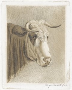 kagekop af Diederik Jan Singendonck (signed by artist)