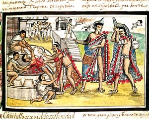 Fol.70v Human Sacrifice, fra 