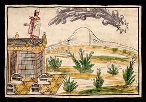 Montezuma observerer kometen, miniature fra History of the Indies af Diego Duran (1537-1588)