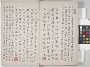 Album Of Landscape Paintings (blæk på papir)