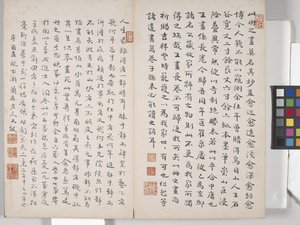 Album Of Landscape Paintings (blæk på papir) af Ding Yunpeng