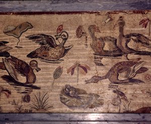 Romersk mosaik fra Pompeji af ænder og frøer i en vandhave, 1. århundrede af Dioscurides of Samos